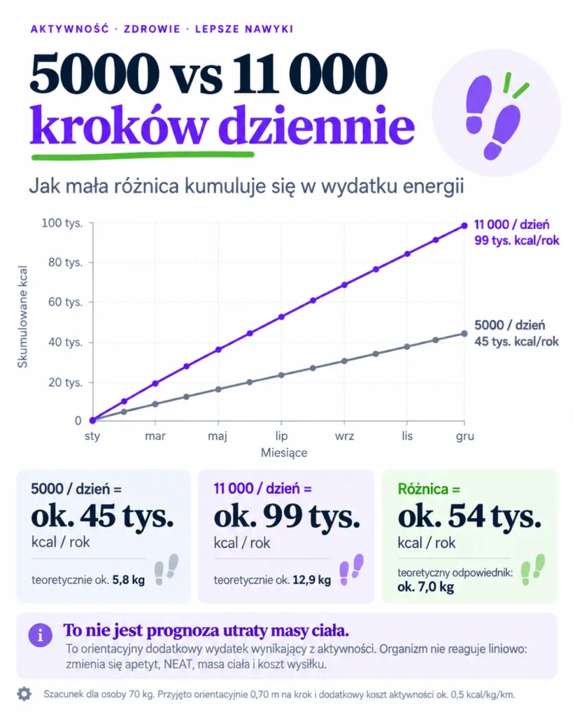 Wykres porównujący 5000 i 11 000 kroków dziennie: skumulowany wydatek energii rośnie przez rok do około 45 i 99 tysięcy kcal.